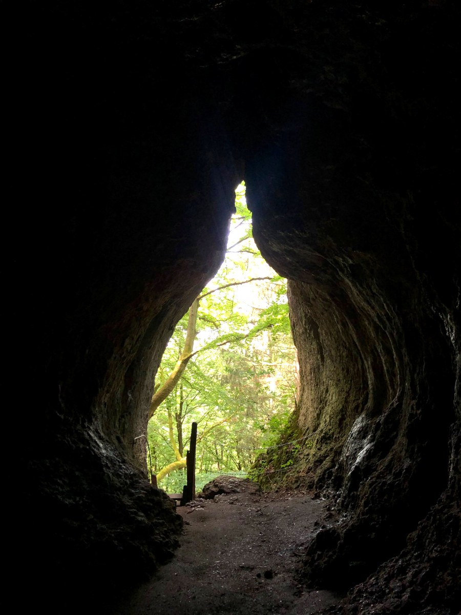Waldstimmung in der Südeifel – Naturcoaching mit Steffen Süsse